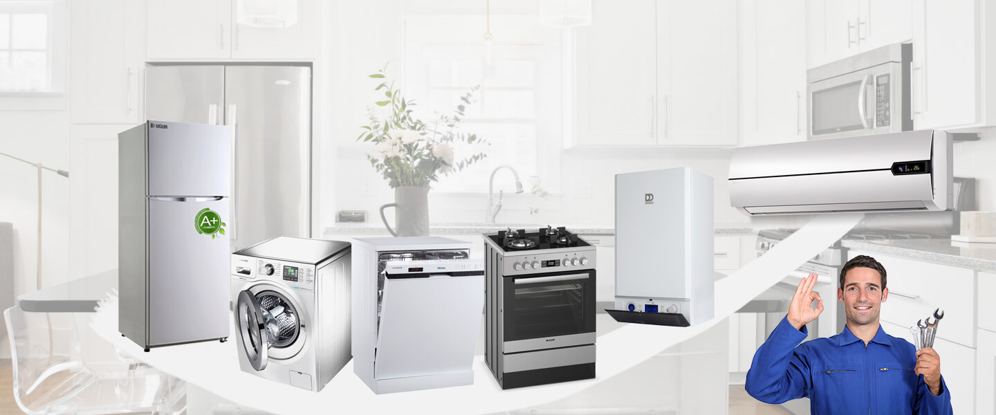 Domaniç Electrolux Servisi